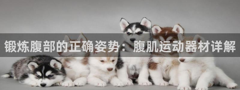 tp钱包安卓易下载：锻炼腹部的正确姿势：腹肌运动器材详解