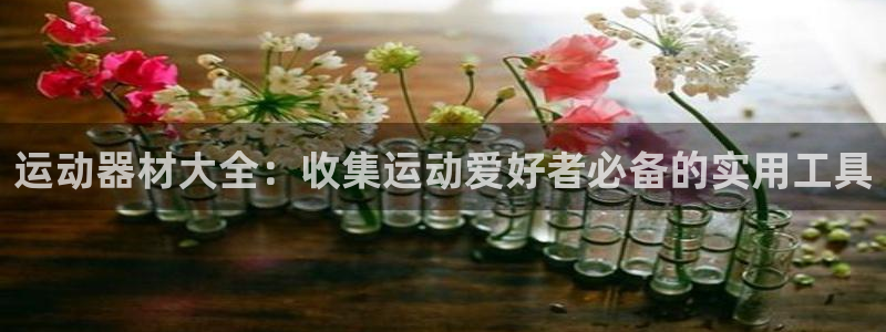 tp钱包ios官网下载：运动器材大全：收集运动爱好者必备的实