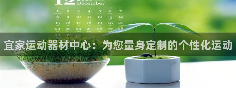 tptp官方正版下载安装：宜家运动器材中心：为您量身定制的个