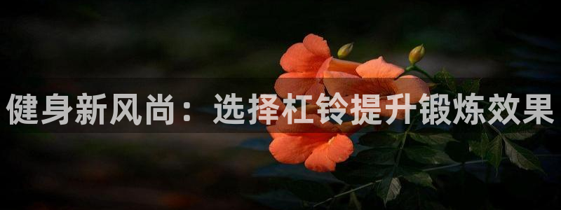 tpl怎么安装：健身新风尚：选择杠铃提升锻炼效果