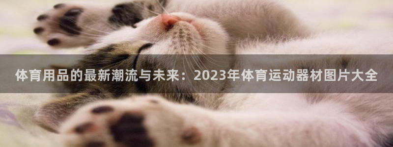 tp钱包app安卓版下载安装