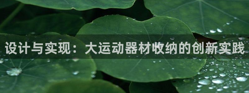Tp钱包trx怎么购买：设计与实现：大运动器材收纳的创新实践