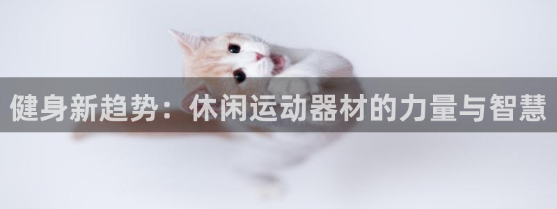 tp观察钱包能不能找回原来的钱包数据：健身新趋势：休闲运动器