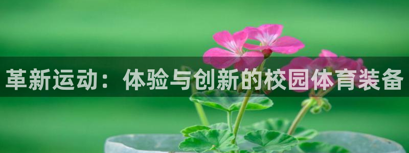 tpc区块链赚钱快吗：革新运动：体验与创新的校园体育装备