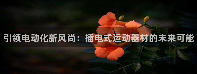 tp钱包nft：引领电动化新风尚：插电式运动器材的未来可能